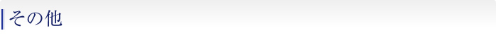 その他